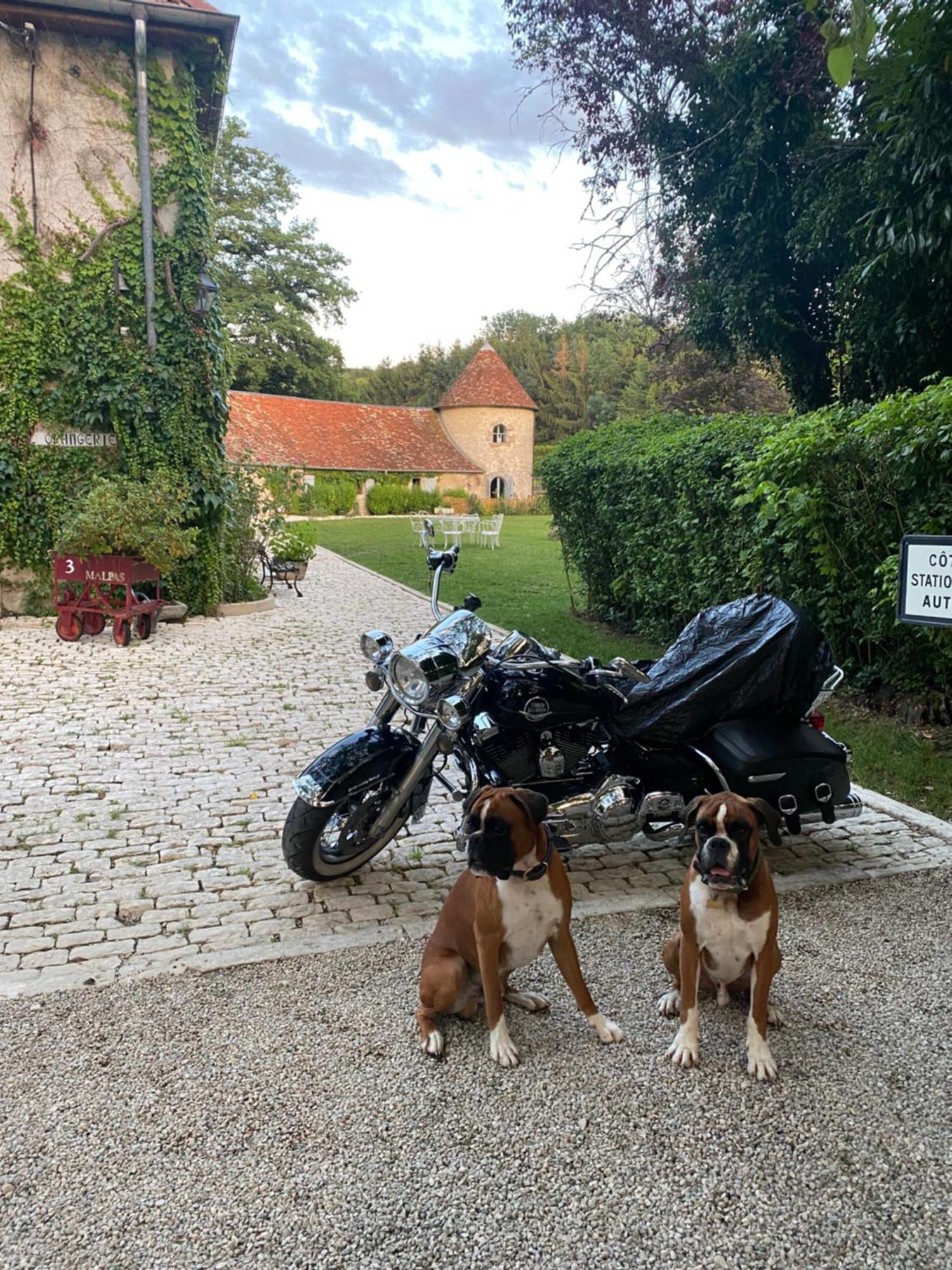 Quingey Le Colombier De Malpas Bed & Breakfast エクステリア 写真