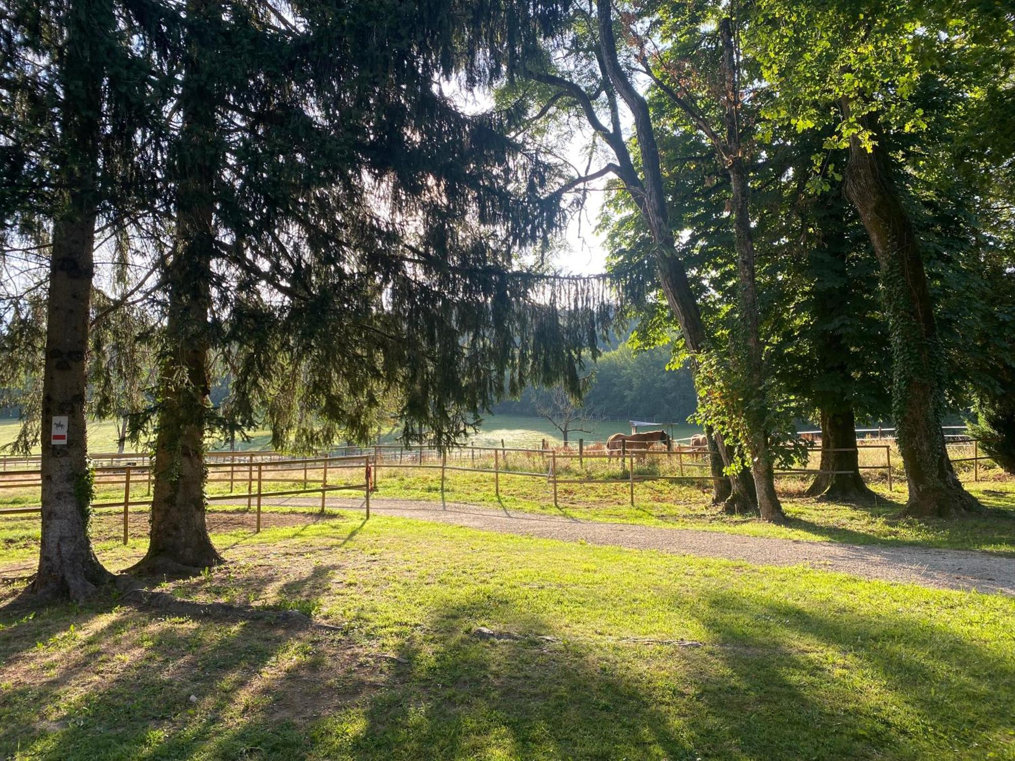 Quingey Le Colombier De Malpas Bed & Breakfast エクステリア 写真
